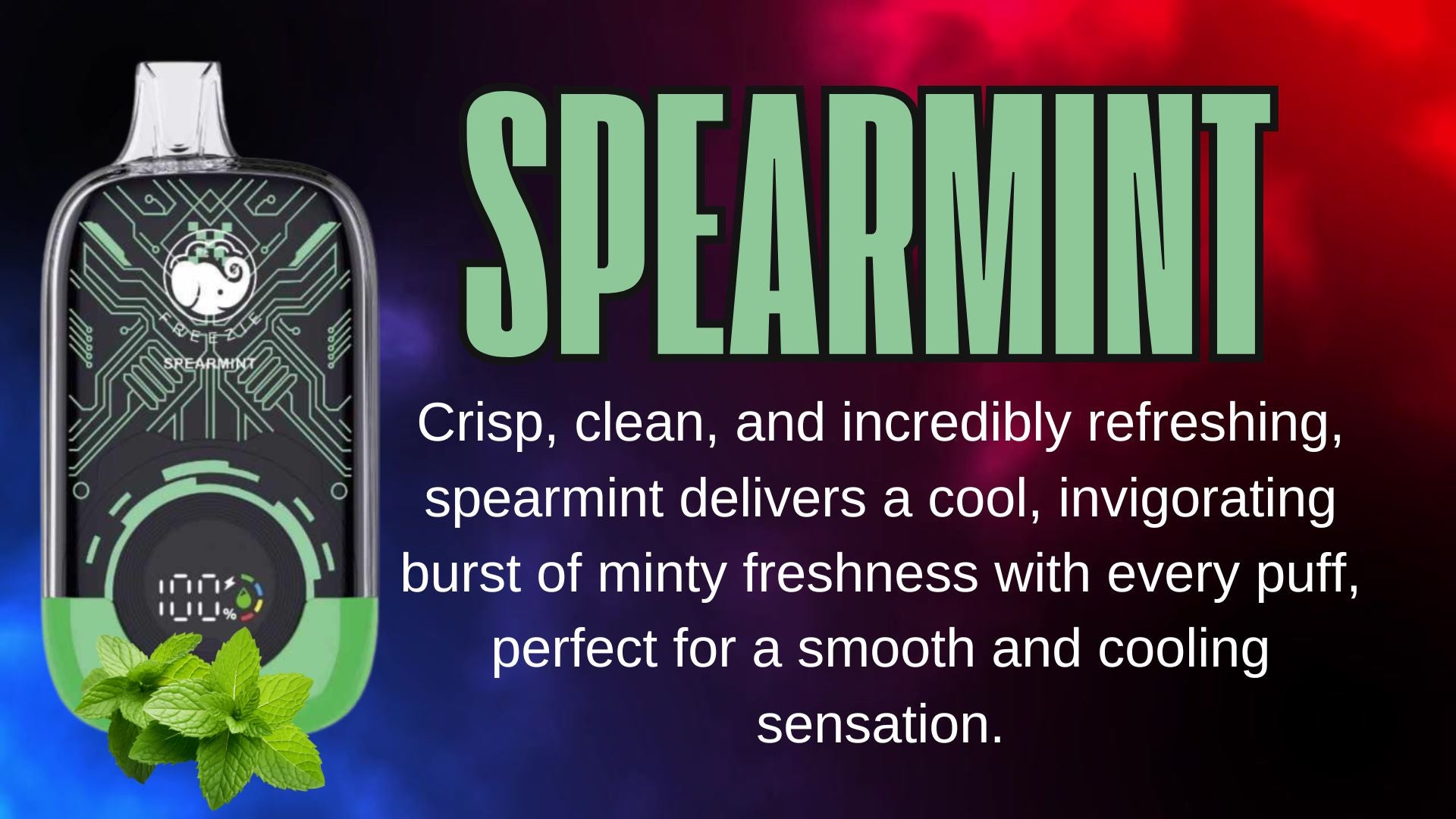 Spearmint